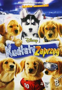 Plakat Filmu Kudłaty zaprzęg (2008)